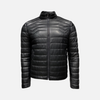 Damarco Leather Puffer Jacket