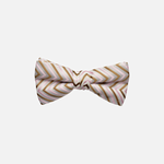 Seneca Striped Bow Tie