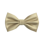 Ben Solid Bow Tie