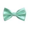 Ben Solid Bow Tie