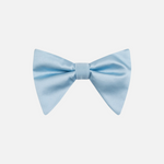 Brandon Long Bow Tie