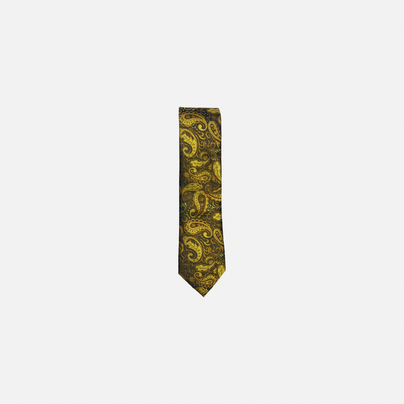 Bagdon Slim Paisley Tie