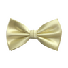 Ben Solid Bow Tie