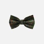 Braydon Paisley Bow Tie