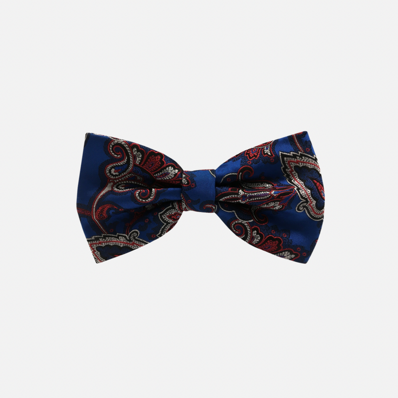 Braydon Paisley Bow Tie