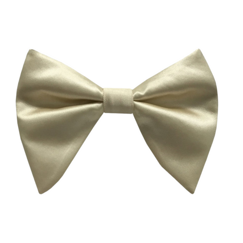 Brandon Long Bow Tie