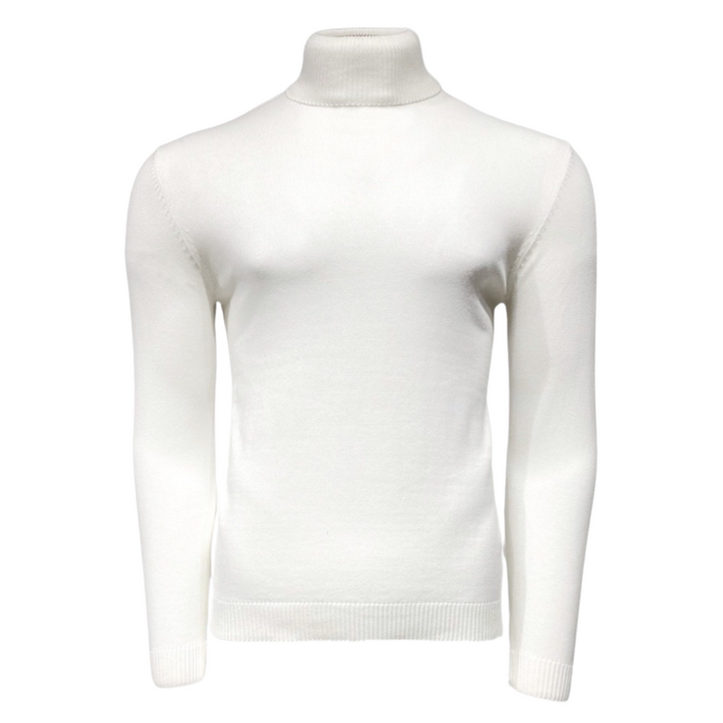LaVane - Men's Classic Solid Turtleneck Sweater NEFNYC – New Edition Fashion