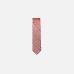 Bane Skinny Striped Tie
