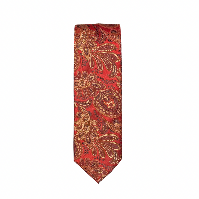 Ignatious Paisley Tie