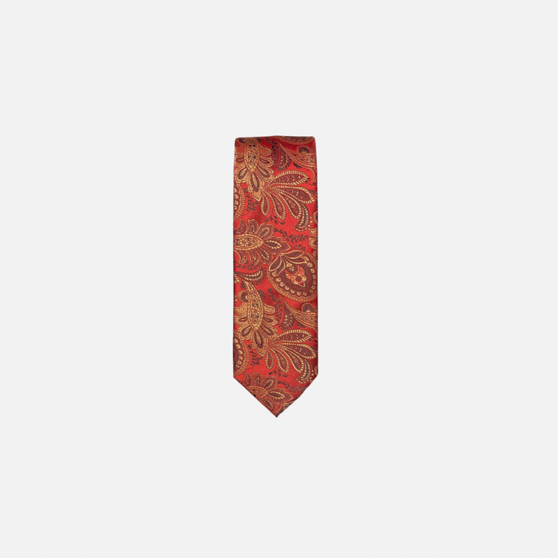 Ignatious Paisley Tie