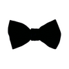 Brycen Velvet Bow Tie