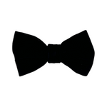 Brycen Velvet Bow Tie