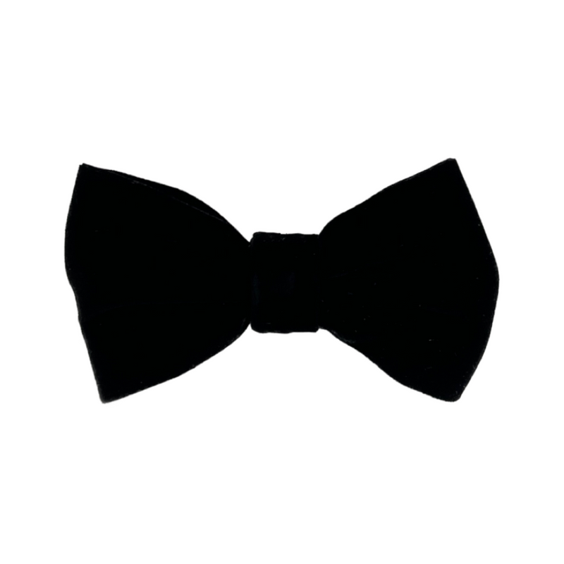 Brycen Velvet Bow Tie