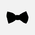 Brycen Velvet Bow Tie