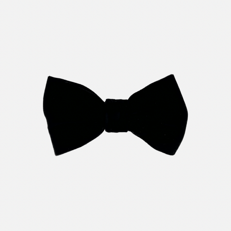 Brycen Velvet Bow Tie